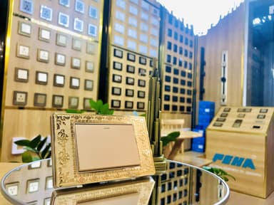 BADORA 118 SERIES PEHA LUXURY - BỘ CÔNG TẮC & Ổ CẮM